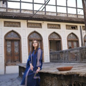 Rhinestone Embellished Organza Dress